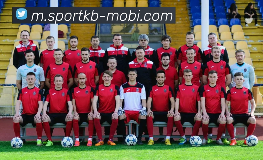 KB体育平台生态图